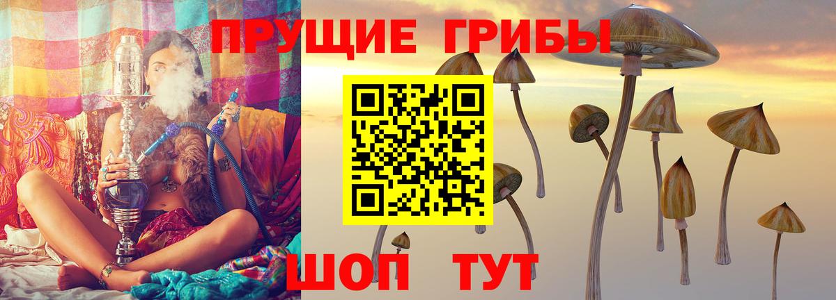 Псилоцибиновые грибы ЛСД  Вход с VPN  где найти   Черкесск 